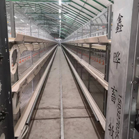 Cage à poules de haute qualité, durable, de type H, entièrement automatique, avec grillage en acier galvanisé, nouvelle cage à poules, garantie 1 an
