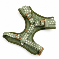 Nouvelle conception 2026 : Ensemble Harnais et Laisse pour Chien Motif Pois Sauge – Fabricant Personnalisé d'Harnais pour Animaux de Compagnie – Ensembles Assortis Collier, Laisse et Harnais – Accessoires pour Chiots