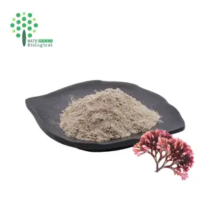 Irish Sea Moss Powder Extract For Dietary Supplement Irish Sea Moss