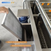 Industriële automatische motor aangedreven belletjeswasmachine voor het reinigen van fruit en groenten, capaciteit 600-1000 kg/uur, voor voedselverwerking