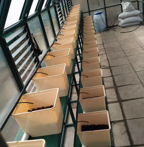 Seaux hollandais en plastique de qualité alimentaire 11L pour la culture hydroponique - Product Image 5