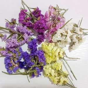 Las cabezas de flores secas naturales <span class=keywords><strong>no</strong></span> me olvides Capullos de flores <span class=keywords><strong>no</strong></span> me olvides <span class=keywords><strong>para</strong></span> flores decorativas artesanales DIY - Product Image 3