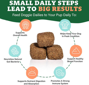 Probiotik Anjing <span class=keywords><strong>Pet</strong></span> Yuan untuk Diare & Kesehatan Kekebalan Usus Probiotik Anjing Suplemen Anjing Suplemen Nutrisi Hewan Peliharaan - Product Image 2