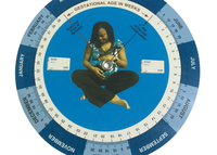 Tableau des roues de l'hôpital en gros Calculatrice personnalisée pas cher Grossesse Platine Grossesse Date d'échéance Calculatrice Gynécologue Règle