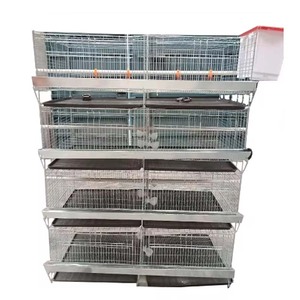 Jaula <span class=keywords><strong>de</strong></span> pollo escalonada <span class=keywords><strong>de</strong></span> <span class=keywords><strong>acero</strong></span> tipo H completamente automática para avicultura, capa <span class=keywords><strong>de</strong></span> huevo a presión natural, equipo <span class=keywords><strong>de</strong></span> valla <span class=keywords><strong>de</strong></span> granja - Product Image 1