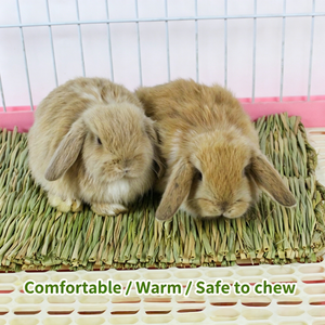 Caseta de Hierba Natural Tejida a Mano para Mascotas Pequeñas, Cama Nido para Conejos, Cobayas y Chinchillas, Refugio Cálido para Hámsteres y Ardillas - Product Image 4
