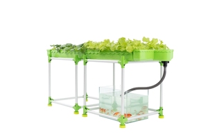 Sistema hidropónico de invernadero para plantas acuapónicas, kit de cultivo de plantas en maceta para verduras, hierbas, flores, red agrícola para interiores y exteriores H - Product Image 4