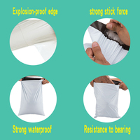Hersteller direkt hochwertige benutzer definierte Express-Tasche Poly Kurier Tasche Poly Mailer Biologisch abbaubare umwelt freundliche wasserdicht