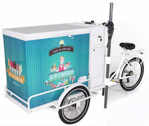 Tricycle électrique avec assistance au pédale, routeur à glace, 10 pouces, avec chariot de distribution pour aliments, vélo électrique - Product Image 2