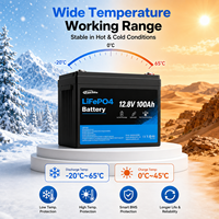 Batterie LiFePO4 12,8V 100Ah 1280Wh, cellules de qualité A, plus de 4000 cycles profonds, BMS intégré, pour applications solaires, VR, marine et stockage