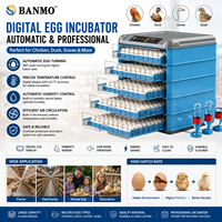 Incubateur à rouleaux d'égouttement d'eau BANMO, taux d'éclosion élevé, couveuse entièrement automatique pour poulets, canards, pigeons, cailles