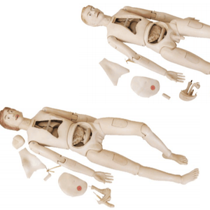 Agitateur orbital de laboratoire, vitesse réglable, haute qualité - Product Image 4