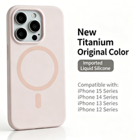 Casing Handphone Silikon Seri 17-14 dengan Pelindung Lensa Magnetik Anti Benturan, Desain Warna Polos dan Lapisan Semprot