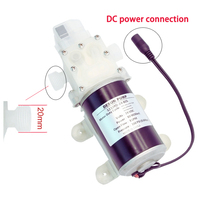 Mini pompe auto-amorçante de qualité alimentaire 12V/24V/48V 80W 8L/MIN Pompe à eau haute pression CC pour lait vin boisson