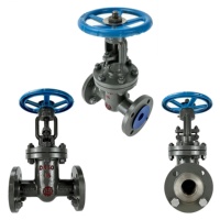 Katup Gerbang Baja Cor Berflens Ganda untuk Air Limbah, Tahan Logam, 150LB 4 inci WCB, Harga untuk Pemanas Daerah