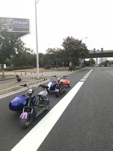 Motocyclette à side-car 2026, 3 roues, électrique, <span class=keywords><strong>pliable</strong></span>, avec side-car de transport, scooter, <span class=keywords><strong>tricycle</strong></span>, kit side-car pour chien, enfant, chopper - Product Image 2