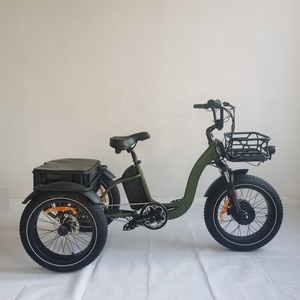 <span class=keywords><strong>Vélo</strong></span> électrique à trois roues motrices avant 2025 avec panier 750w gros pneu Cargo <span class=keywords><strong>vélo</strong></span> électrique - Product Image 3