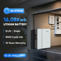 Batterie de rack de serveur DAH 51.2V 16kWh 314Ah, installation murale ou au sol, stock UE Rotterdam Koper, batterie ESS