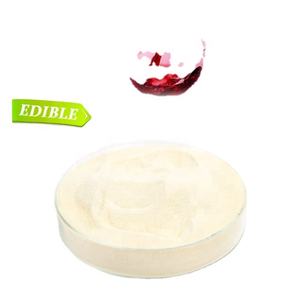 Gélatine comestible halal instantanée, pratique pour la préparation rapide de gelée - Product Image 4