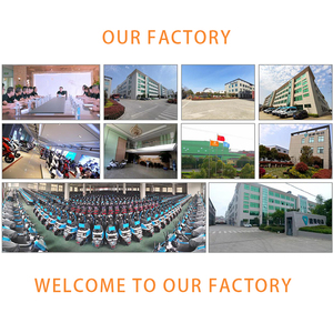 VIMODE Nhật Bản Overboard Xe Máy Điện 60V 800 Wát Bán Cho Người Đàn Ông - Product Image 5