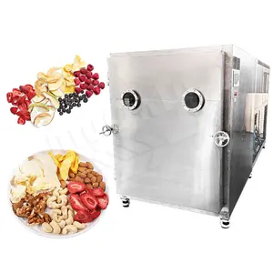 MY Freeze Dryer Lyophilizer 60 Kg Dalle Cost Chamber 6 Kg/Batch Dry Machine for Fish Instant Coffee