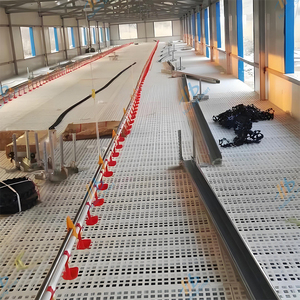 Bebedero Automático <span class=keywords><strong>para</strong></span> Pollos de Engorde y <span class=keywords><strong>Gallinas</strong></span> Ponedoras, de Acero Inoxidable 304, Modelo HBCDC-1 Huabang, <span class=keywords><strong>Precio</strong></span> de Fábrica, Nuevo - Product Image 6