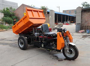 Jinwang becak motor Diesel 1.5 Ton, harga sepeda motor Diesel Mini 3 roda - Product Image 6