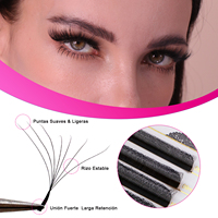 Extensions de cils en forme de W 7D en gros, courbure D 0.07, volume méga mixte, soie mate premium, cils trèfle à éventail automatique