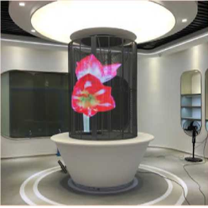 Écran <span class=keywords><strong>OLED</strong></span> transparent P6.25 pour vitrine d'exposition de musée avec fine marge d'écran et revêtement antireflet pour la publicité - Product Image 1