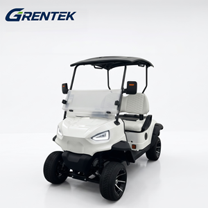 Voiturette de golf électrique confortable et économique, 2 places, 48V, pour routes non publiques - Product Image 3