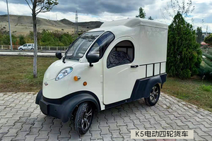 Mini voiture de fret électrique EV <span class=keywords><strong>Transport</strong></span> logistique - Product Image 5