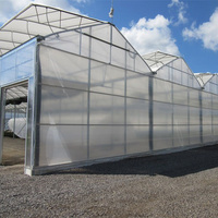 Film pour cadre de serre agricole en forme de grand dôme Hangar en plastique cerclé Tunnel à chenilles Ferme aux bleuets Maison verte Couleur bleue