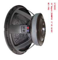 Vente flash : caisson de basses professionnel à ligne acoustique de 18 pouces