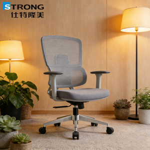 <span class=keywords><strong>Chaise</strong></span> <span class=keywords><strong>de</strong></span> <span class=keywords><strong>bureau</strong></span> ergonomique en maille grise <span class=keywords><strong>haut</strong></span> <span class=keywords><strong>de</strong></span> <span class=keywords><strong>gamme</strong></span>, best-seller moderne, avec soutien lombaire réglable et accoudoirs 3D pour le travail quotidien au <span class=keywords><strong>bureau</strong></span> - Product Image 2