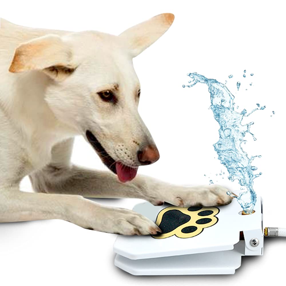 outdoor pet water fountain