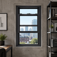 Fenêtre en verre de section supérieure de haute qualité Lite Line Direct avec hauteur de bande personnalisée pour mur avant de chambre d'hôtel