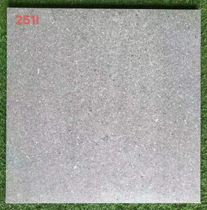 Pavimentadora de suelo para exteriores, ladrillos, baldosas de pavimentación para entrada - Product Image 3