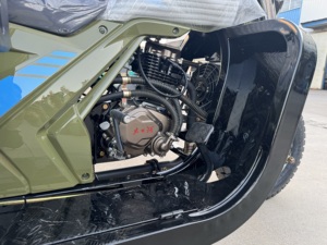 200cc Xăng hàng hóa Trike 3-Wheeler dahe cơ giới ba bánh Xăng <span class=keywords><strong>Piaggio</strong></span> cho đô thị giao hàng và trang trại haulage - Product Image 2