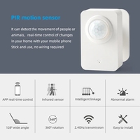 WiFi tuya Alarme de détection infrarouge sans fil intelligente USB avec capteur de mouvement PIR
