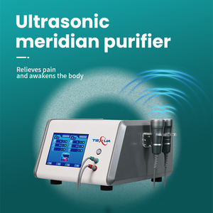 Máquina de fisioterapia de ultrasonido portátil de 2 manijas con certificación CE Clasificación de clase II para alivio del dolor veterinario - Product Image 2