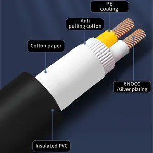 YYTCG 11AWG * 2 2.25mm2 câble de haut-parleur blindé Flexible câbles <span class=keywords><strong>Audio</strong></span> vidéo KTV karaoké musique <span class=keywords><strong>Audio</strong></span> fil de connexion blindé - Product Image 2