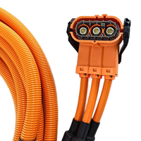Harnais de câblage haute tension M6 à anneaux - Gamme de température -40~125°C - Conducteur en cuivre nu - Harnais de câblage en caoutchouc
