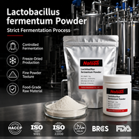 Probiótico de Alta Actividad, 100 Mil Millones de UFC, Lactobacillus Fermentum en Polvo Liofilizado CN/SHN