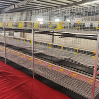 Poulailler de haute qualité à trois étages en forme de H, galvanisé à froid, cages à poulets, cages à poulets de chair pour usage agricole et domestique