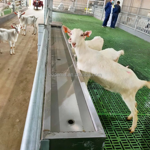 Bebedouro Elétrico Aquecido em Aço Inoxidável 304 para Gado, Vacas, Cabras e Ovelhas - Água Quente Constante por 24 Horas - Product Image 2