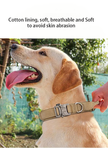 Renkli Evcil Hayvan Tasması ve Tasma Seti, Özel Silikon Harfli Takılarla Kişiselleştirilmiş Köpek İsimli Kimlik Tasması ve Tasma Kombinasyonu - Product Image 6