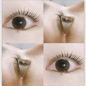 Kit de rehaussement de cils et sourcils professionnel sous marque privée avec teinture - Product Image 2