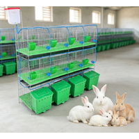 Unité de confinement professionnelle pour lapins d'élevage avec 9 ou 12 compartiments de nidification, entièrement assemblée, construction en acier galvanisé