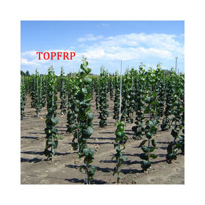 Estaca de fibra de vidrio Varilla de estaca de planta en 3/8 pulgadas para planta/varilla de fibra de vidrio - Product Image 1