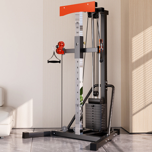 Đa chức năng trở lại đào tạo toàn diện thiết bị đào tạo cao kéo xuống singlesided chim nhỏ Giàn khung cho nhà tập thể dục - Product Image 1